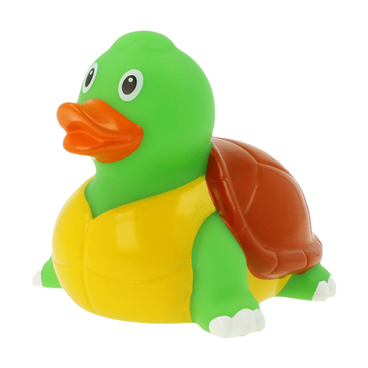 Duck turtle