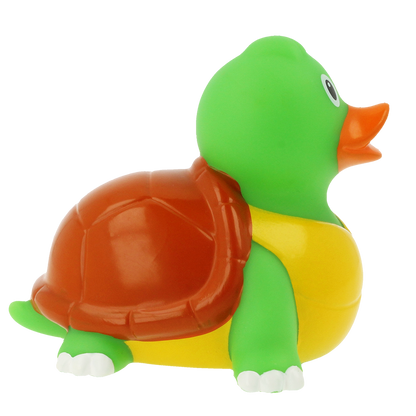 Duck turtle