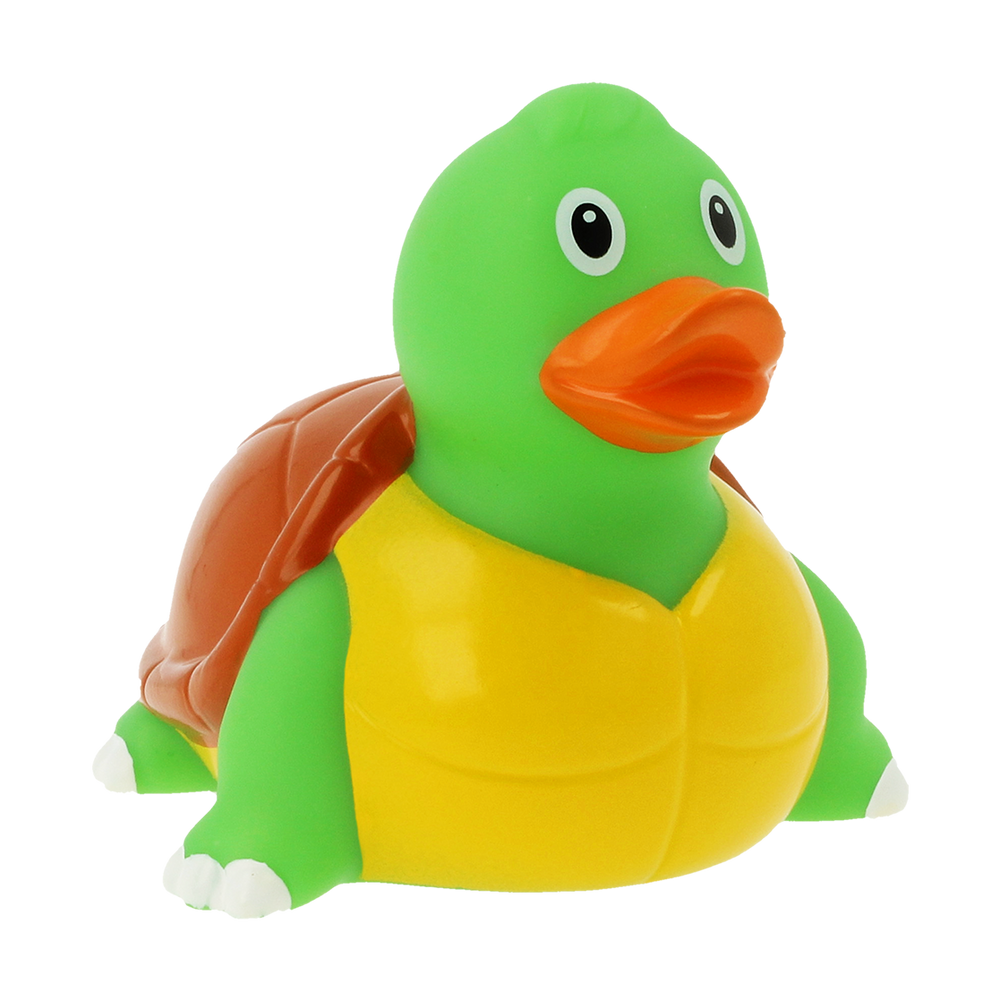 Tartaruga de pato