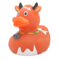 Ente Braune Kuh