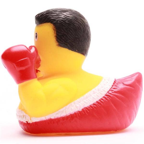 Boxing Duck