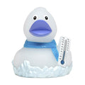 Ente Gefrostet