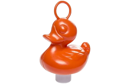 Canards de Pêche aux Canards