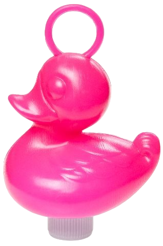 Canards de Pêche aux Canards