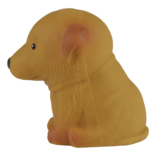 Puppy Parade Poodle