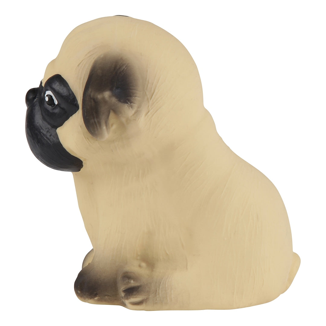Puppy Parade, Pug