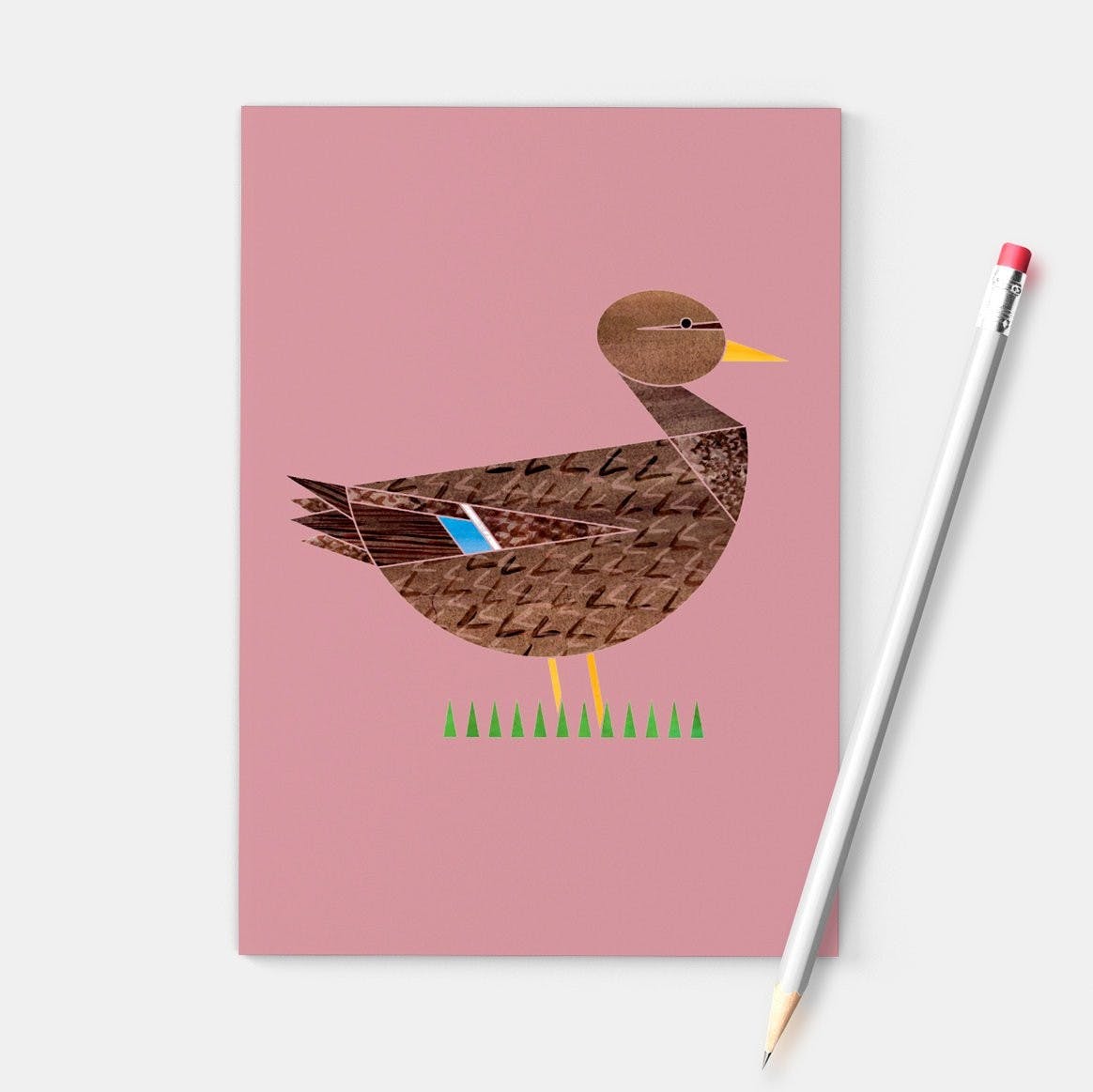 Nota cuaderno Sra. Duck Colvert