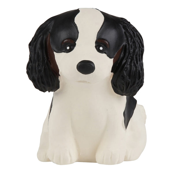 Sfilata dei cuccioli Cavalier King Charles