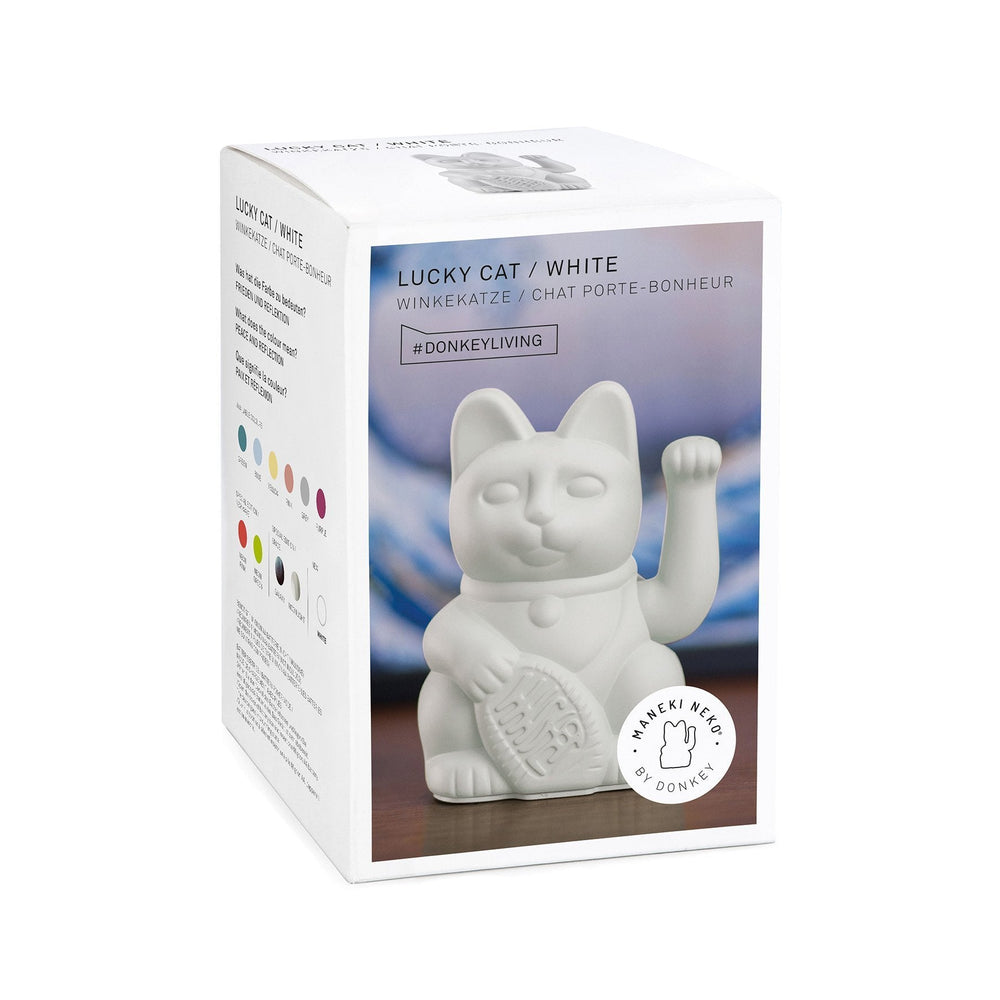 Gato blanco afortunado
