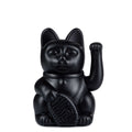 Lucky Black Cat