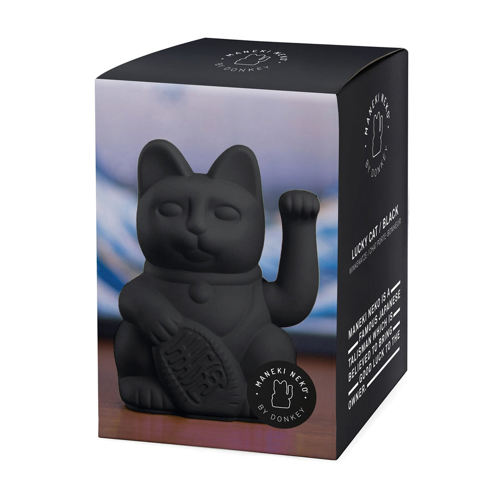 Lucky Black Cat