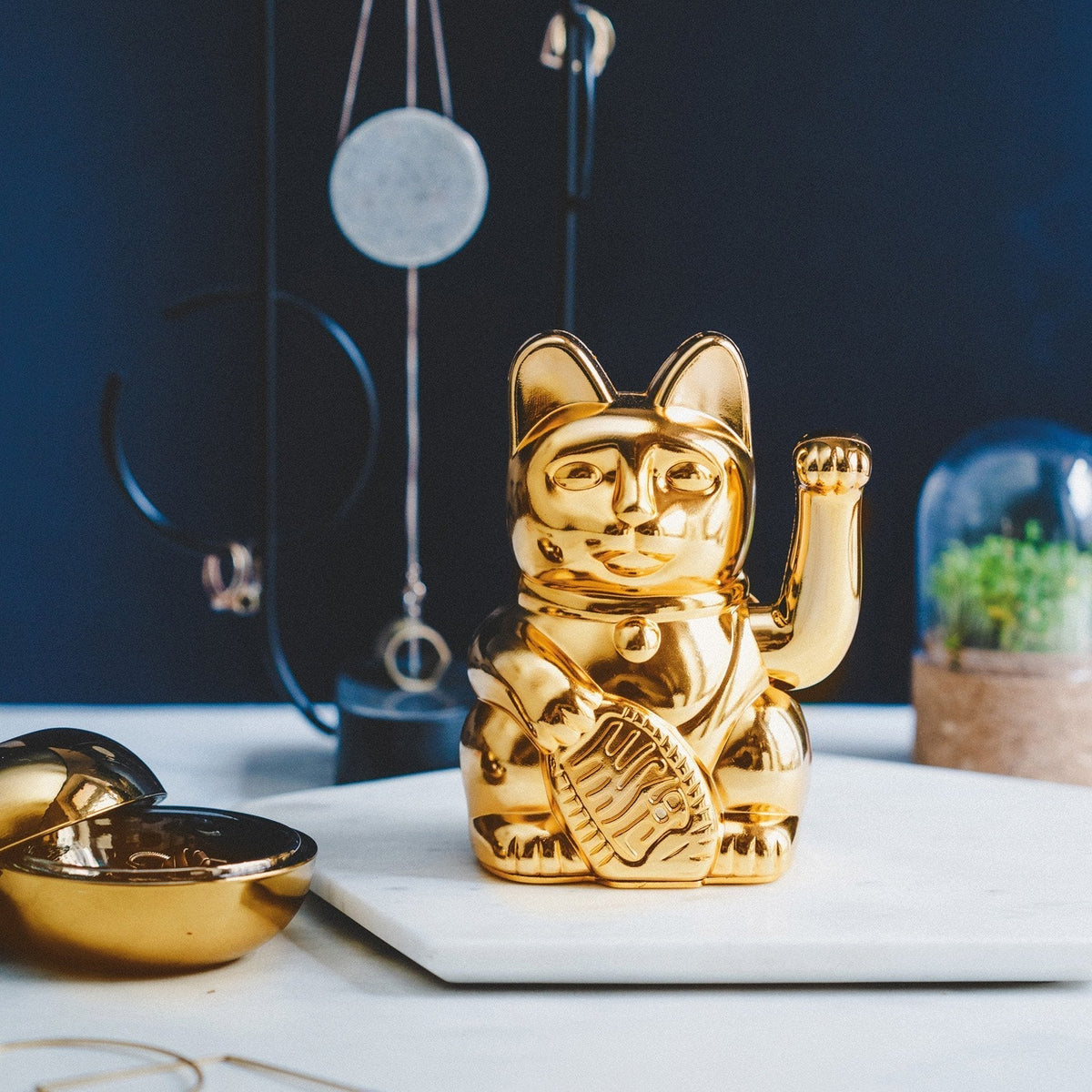 Cat Lucky Glossy