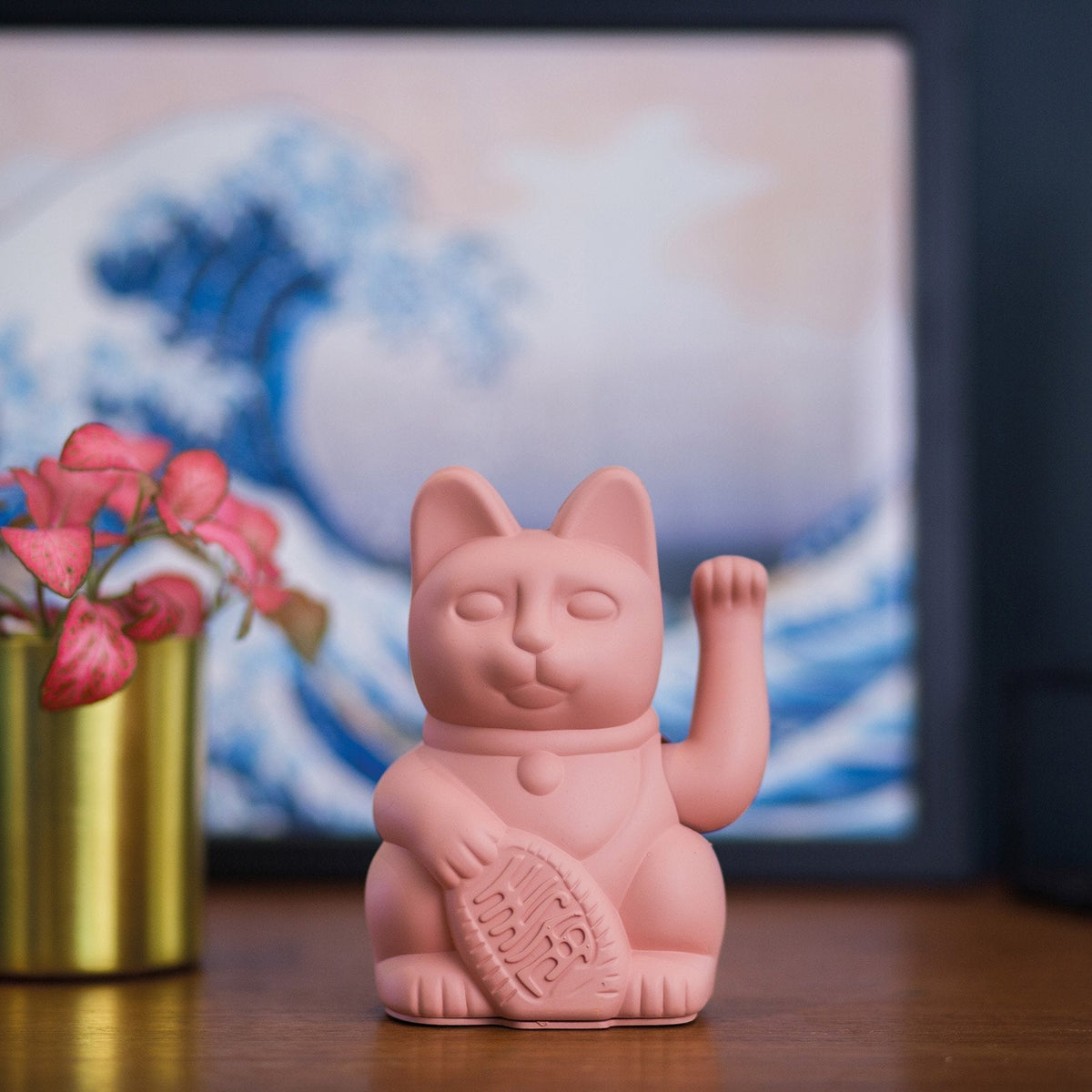 Gato rosa afortunado