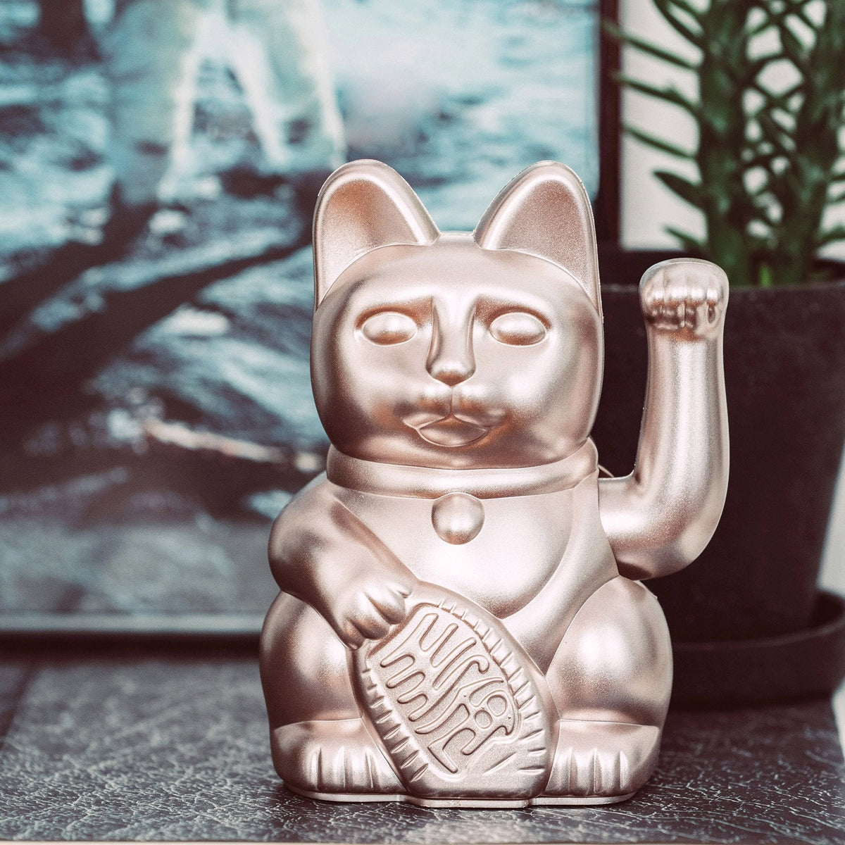Chat Chanceux Clair de Lune "Moonlight"