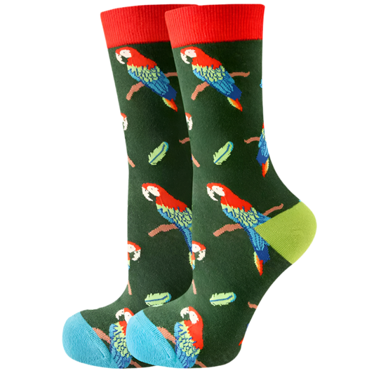 chaussettes perroquets mrcol