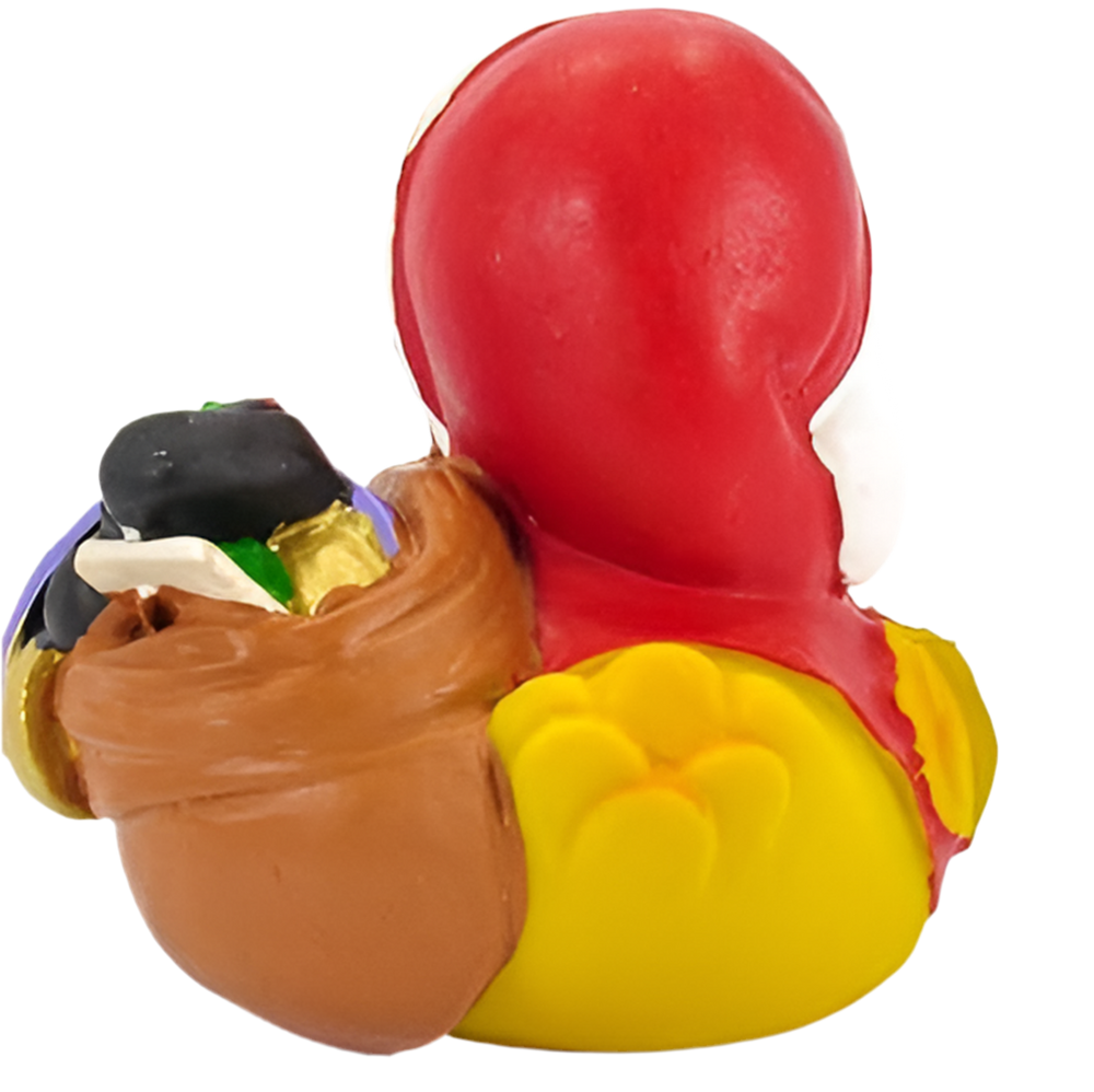 Kerstman Eend