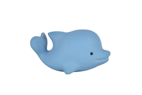 Il mio primo animale marino: il delfino