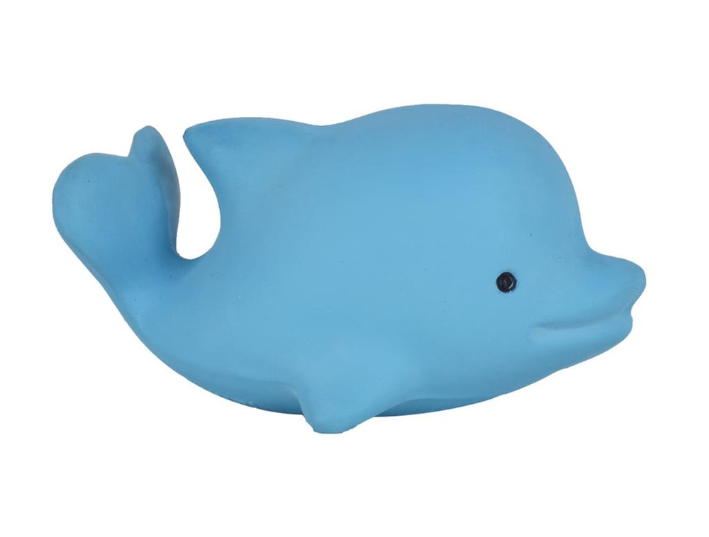 My First Sea Animal – Dolphin