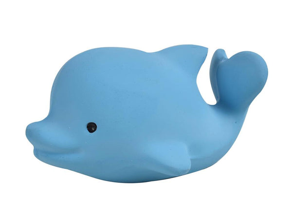 Il mio primo animale marino: il delfino