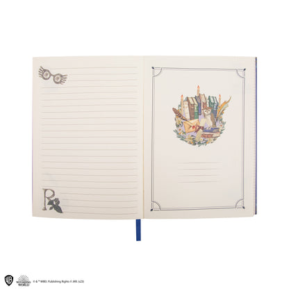 Set Carnet et Stylo Deluxe Monde Magique de Serdaigle