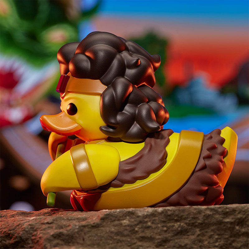 Canard Diana l'Acrobat Donjons et Dragons | Cosplaying Ducks Numskull | OD&D Donjons & Dragons Wizards of the Coast