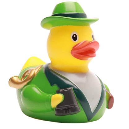Cazador de patos