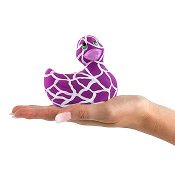 Canard Safari Violet