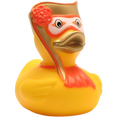 Eend, Carnaval van Venetië, Man