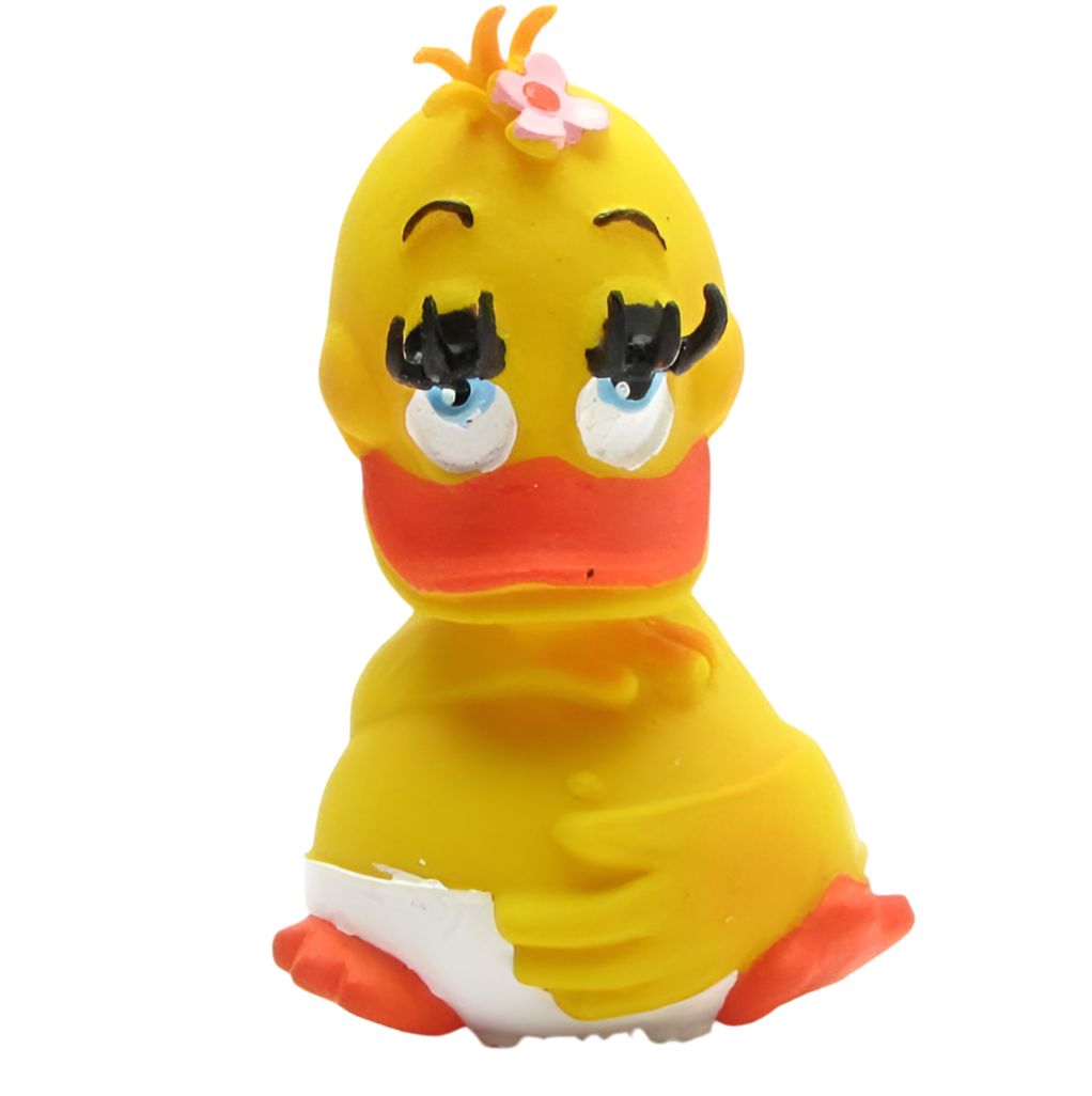 Canard Femme Enceinte