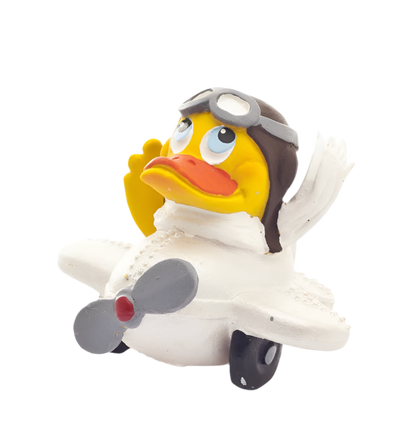 Pato piloto de avião