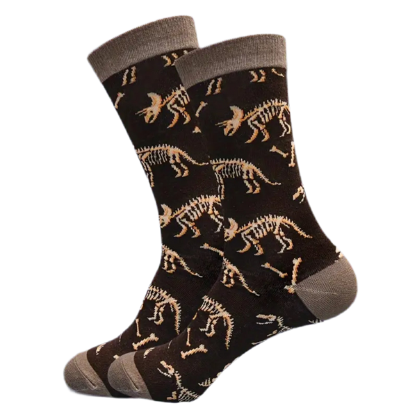 Calzini fossili di dinosauro