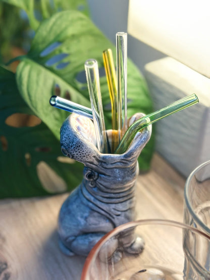 Petit Vase Hungry Hippo