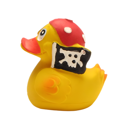 Canard Pirate