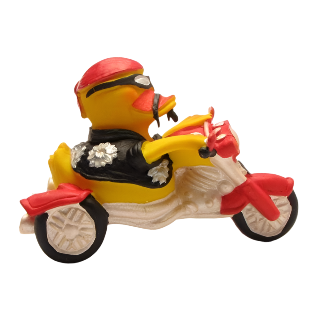 Canard Biker