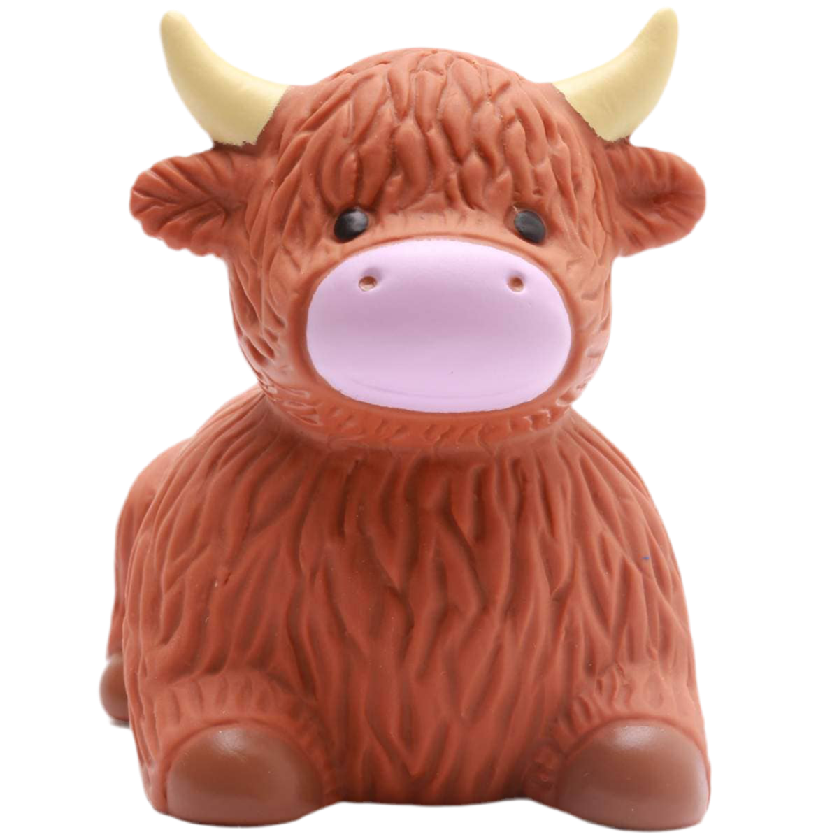 Vache des Highlands de Bain