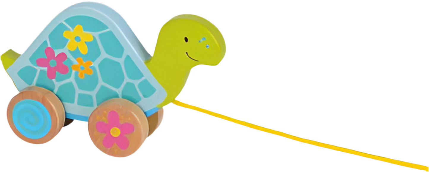 Animal à tirer - Tortue