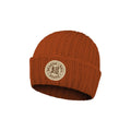 DRAGON BALL SUPER - Logo - Bonnet Tricoté  - PRECOMMANDE*