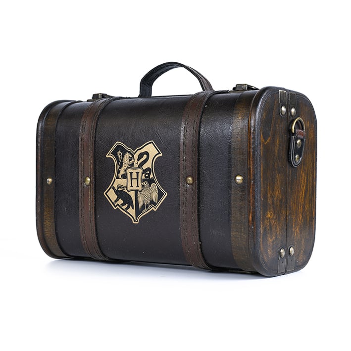 Estuche de regalo de Harry Potter - Maleta "Los problemas me encuentran"