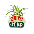 Cache-pot Friends - Central Perk