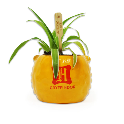 Harry Potter Pot - Gryffindor