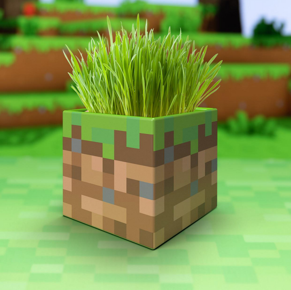 Pianta e portapenne Minecraft - Blocco d'erba