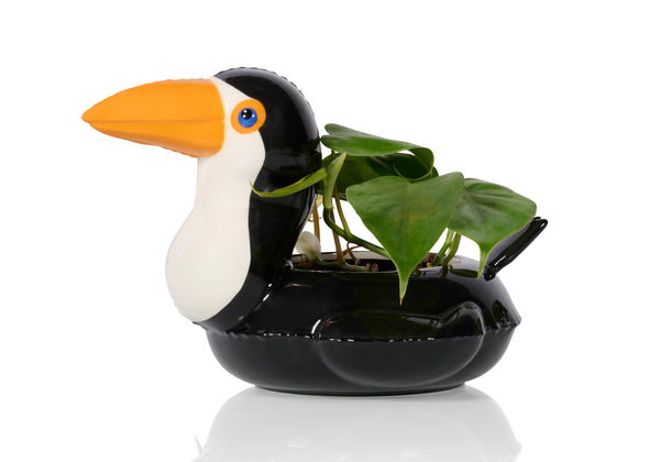 Pot Floaty Toucan – Bitten