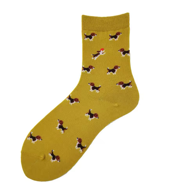 Meias Beagle