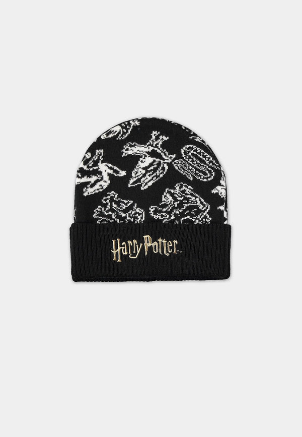 Harry Potter hoed en sjaal set