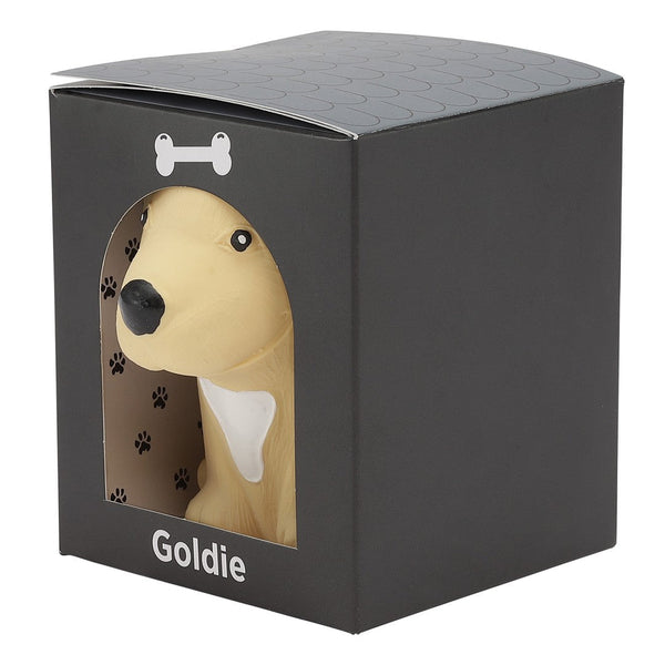 Cucciolo di Golden Retriever in parata