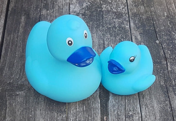 Anatra blu originale