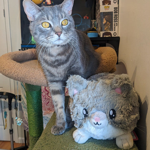 Peluche Mini Squishable – Chat Gris