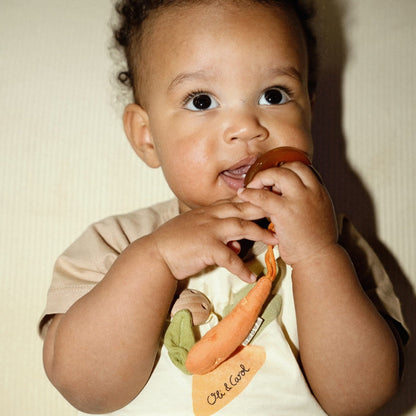 Hot & Crunchy Pacifier Clips Set