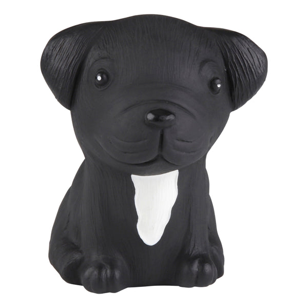 Dog Chew Toy