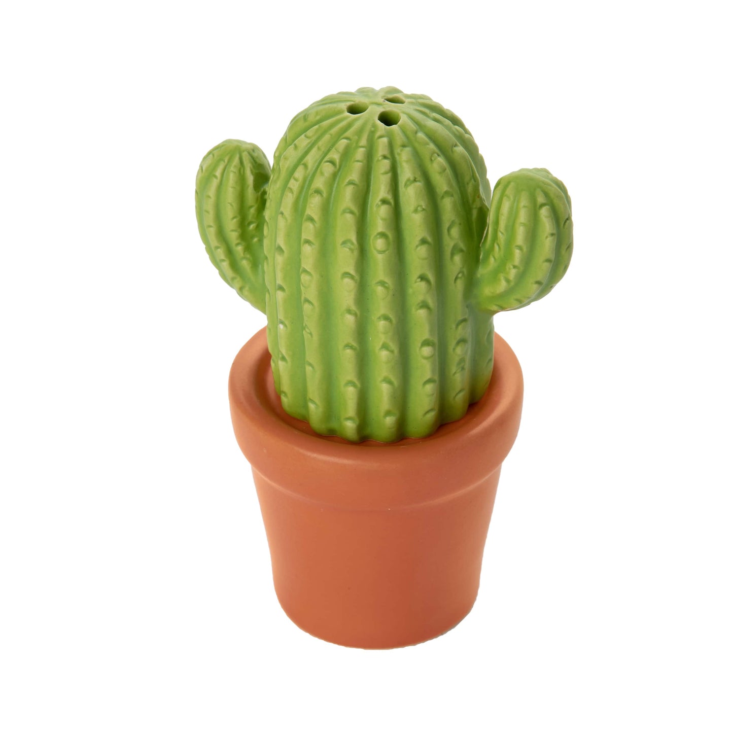 Sel et poivre Cactus